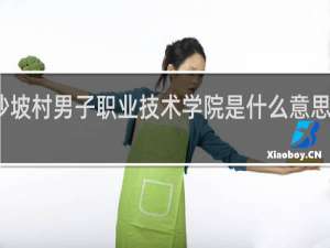 沙坡村男子职业技术学院是什么意思什么梗