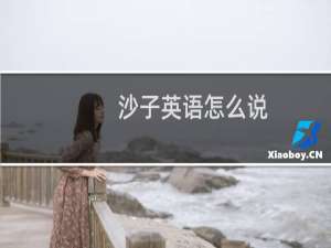 沙子英语怎么说