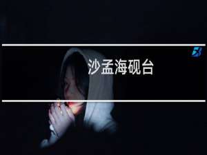 沙孟海砚台
