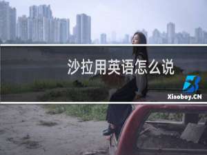 沙拉用英语怎么说