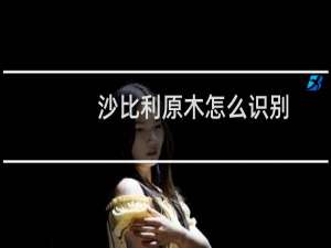 沙比利原木怎么识别