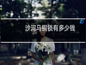 沙河马铜锁有多少钱