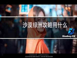 沙漠绿洲攻略用什么