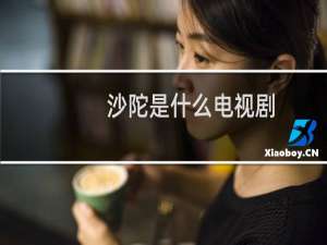 沙陀是什么电视剧