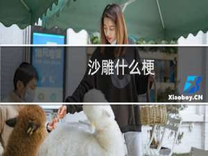 沙雕什么梗？沙雕是什么意思什么梗