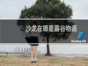 沙龙在哪星露谷物语