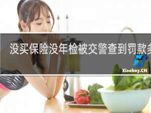 没买保险没年检被交警查到罚款多少