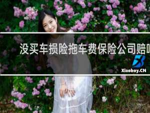 没买车损险拖车费保险公司赔吗