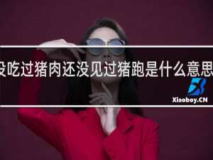 没吃过猪肉还没见过猪跑是什么意思什么梗