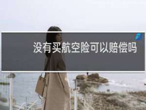 没有买航空险可以赔偿吗