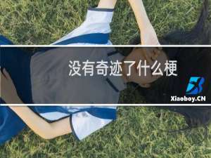 没有奇迹了什么梗