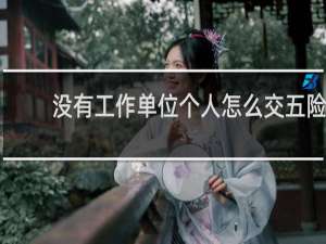 没有工作单位个人怎么交五险