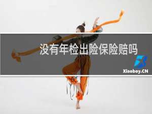 没有年检出险保险赔吗