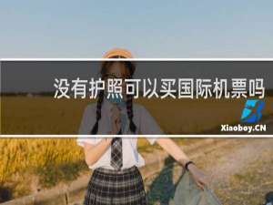 没有护照可以买国际机票吗