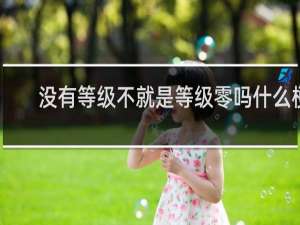 没有等级不就是等级零吗什么梗