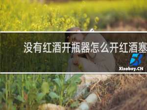没有红酒开瓶器怎么开红酒塞