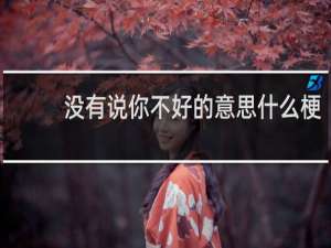 没有说你不好的意思什么梗