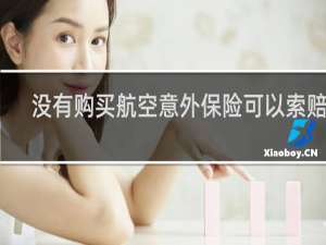 没有购买航空意外保险可以索赔吗