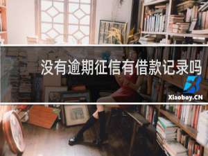 没有逾期征信有借款记录吗