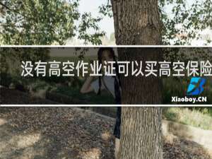 没有高空作业证可以买高空保险吗