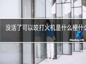 没活了可以咬打火机是什么梗什么梗