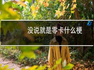 没说就是零卡什么梗