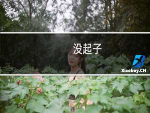 没起子