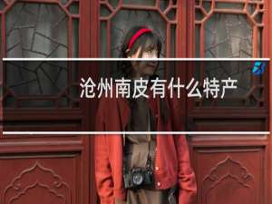 沧州南皮有什么特产