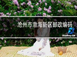 沧州市渤海新区邮政编码是多少