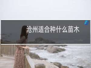 沧州适合种什么苗木