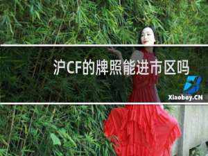 沪CF的牌照能进市区吗