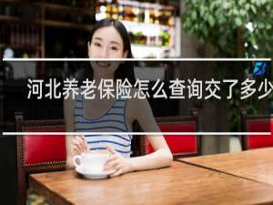 河北养老保险怎么查询交了多少年