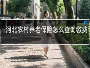 河北农村养老保险怎么查询缴费记录