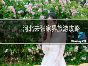 河北去张家界旅游攻略