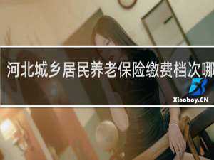 河北城乡居民养老保险缴费档次哪个好