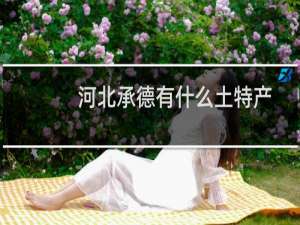 河北承德有什么土特产