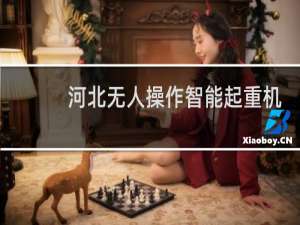 河北无人操作智能起重机