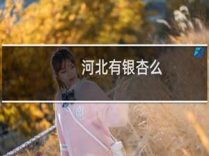 河北有银杏么