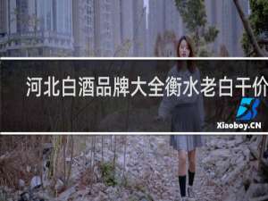 河北白酒品牌大全衡水老白干价格