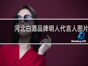 河北白酒品牌明人代言人图片