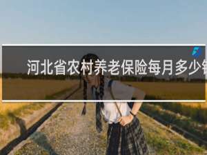 河北省农村养老保险每月多少钱
