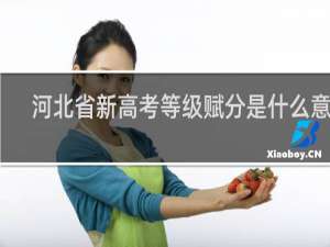 河北省新高考等级赋分是什么意思