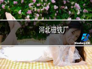 河北磁铁厂