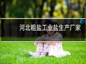 河北粗盐工业盐生产厂家