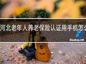 河北老年人养老保险认证用手机怎么认证