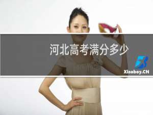 河北高考满分多少