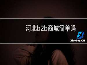 河北b2b商城简单吗