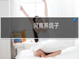 河南养鸽子