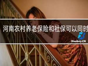 河南农村养老保险和社保可以同时交吗