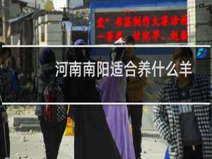 河南南阳适合养什么羊